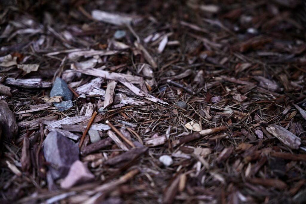 Photo Shiny debris