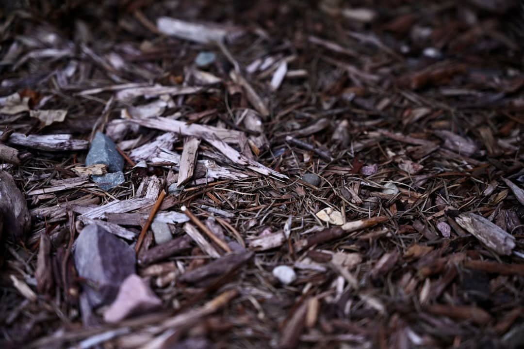 Photo Shiny debris