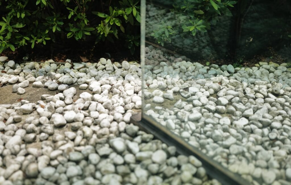 Photo Before and after
