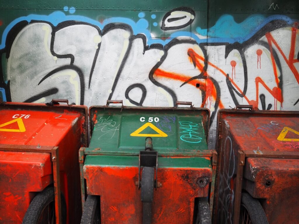 Photo Dumpster rental