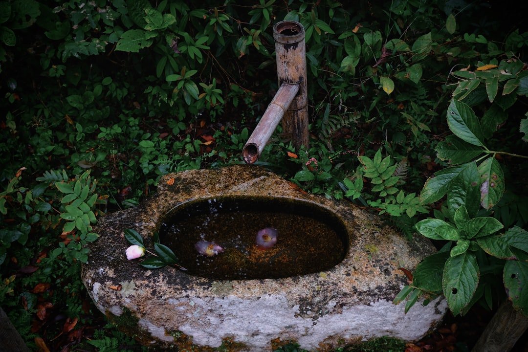 Photo Outdoor sink