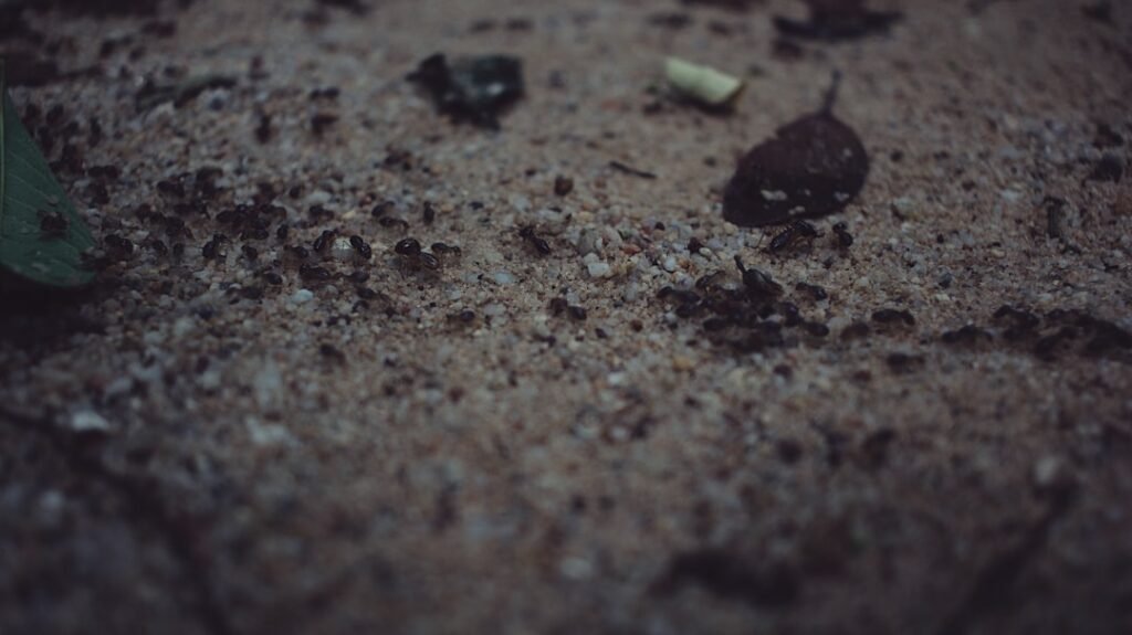 Photo Dust and debris