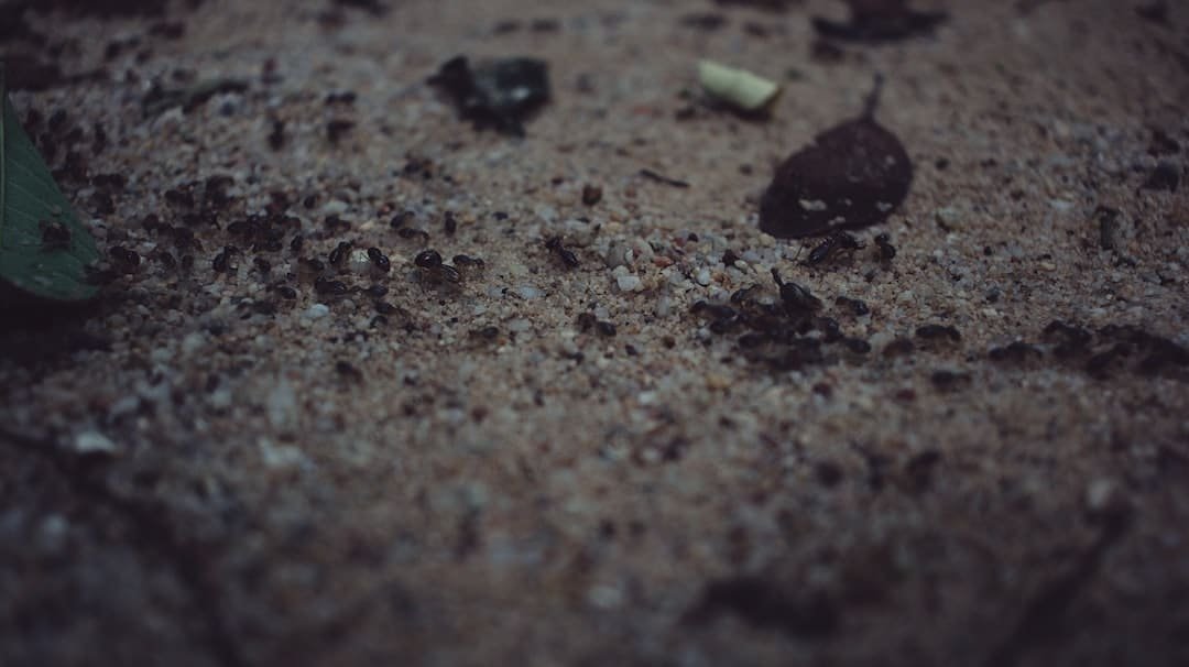 Photo Dust and debris