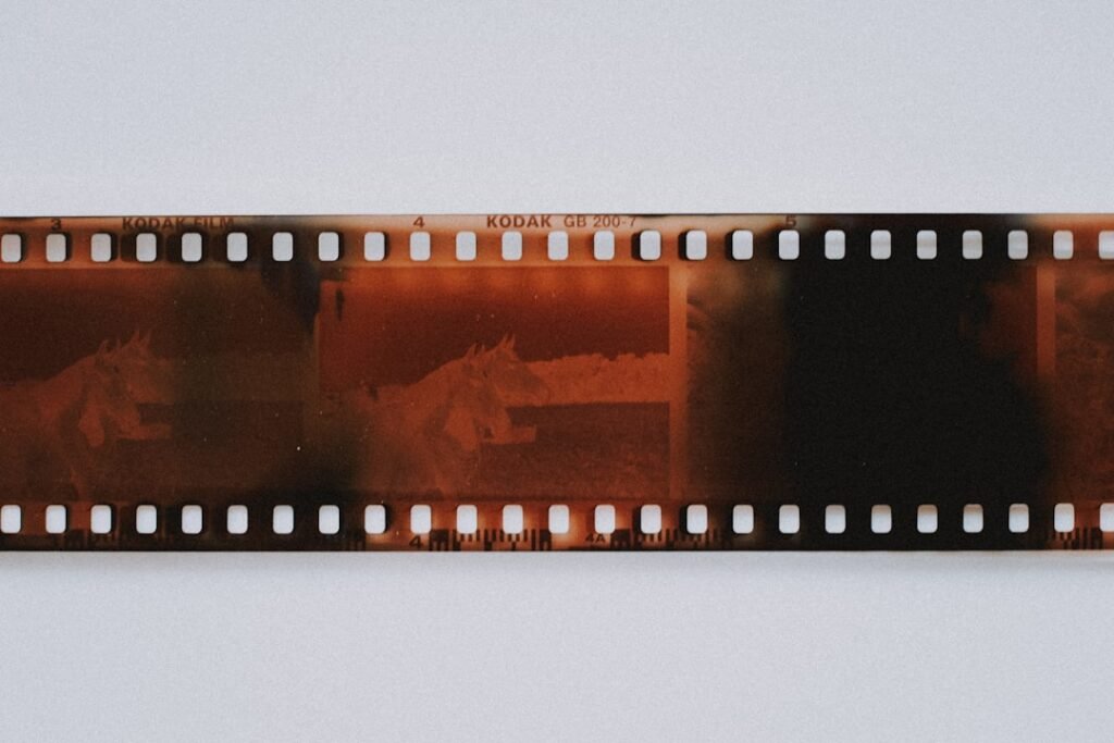 Photo Protective film