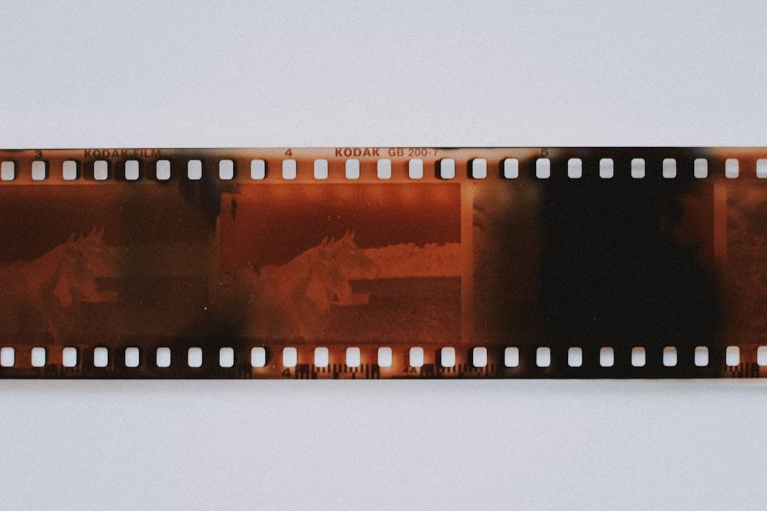 Photo Protective film