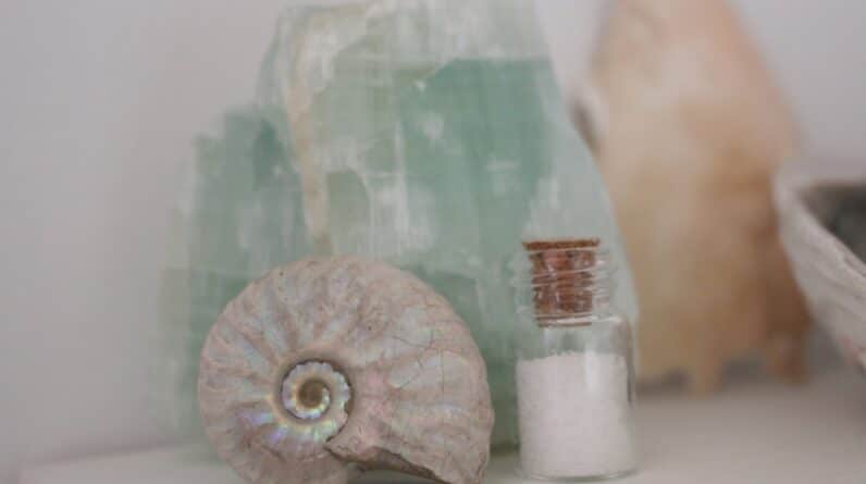 Photo Delicate artifacts