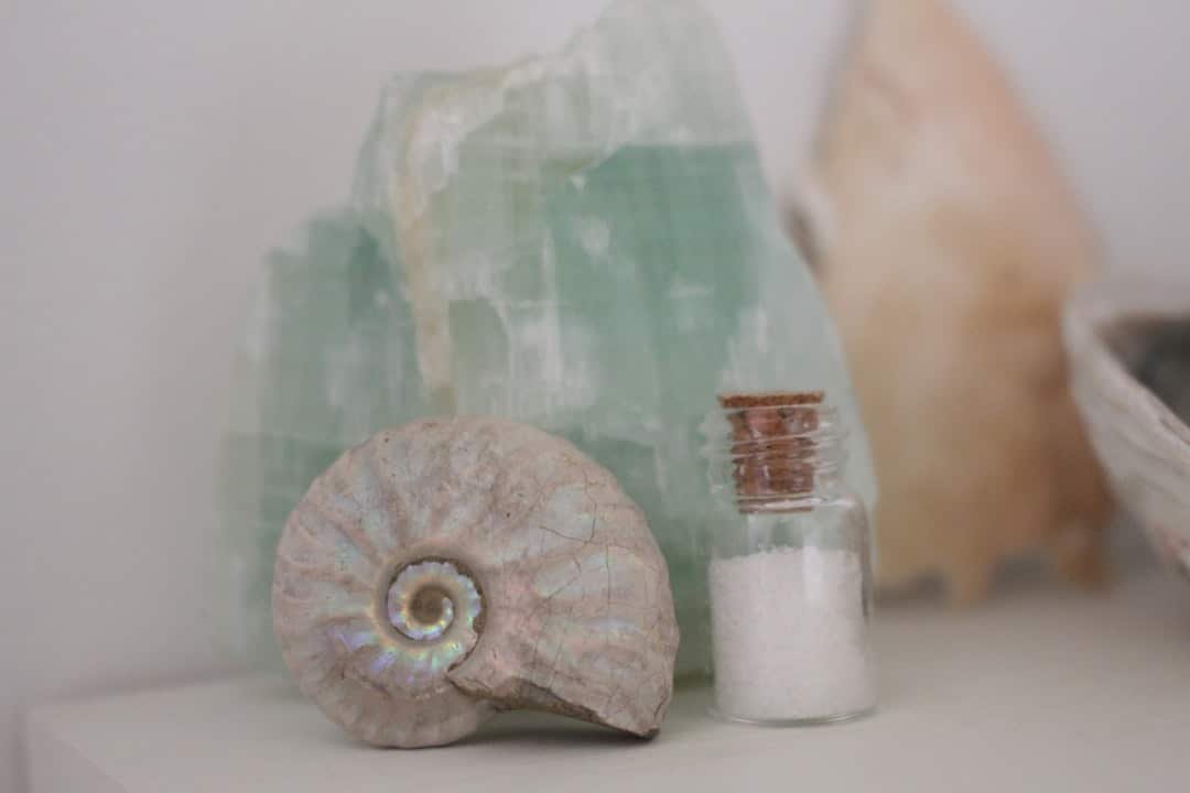 Photo Delicate artifacts