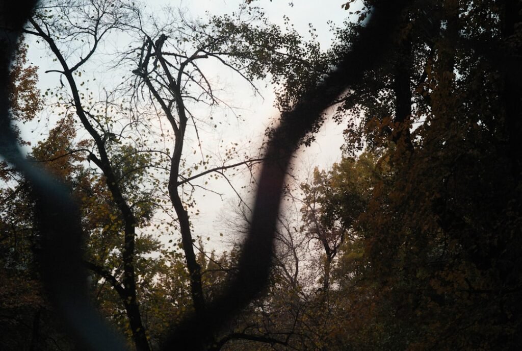 Photo Smoke damage