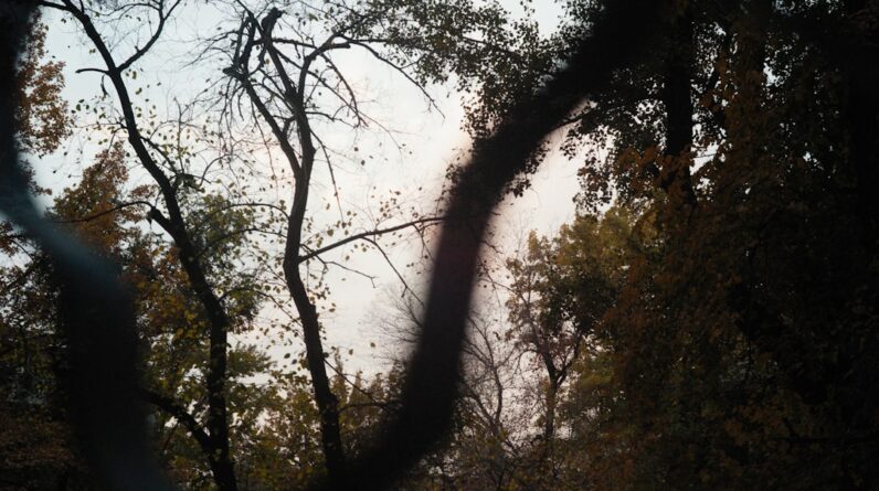 Photo Smoke damage
