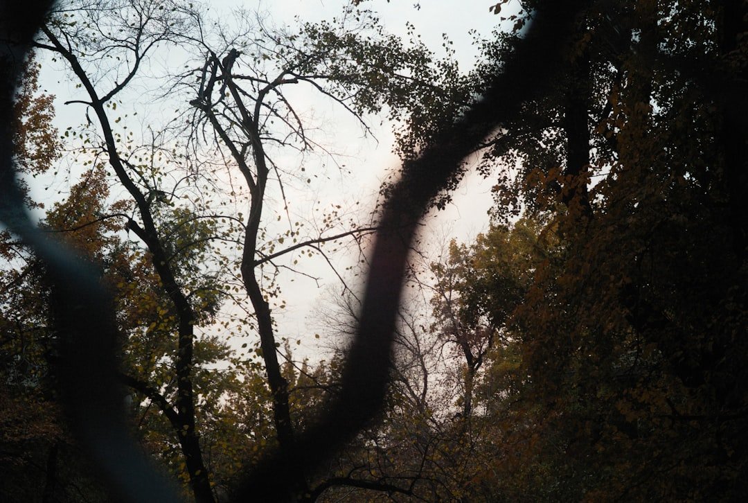 Photo Smoke damage