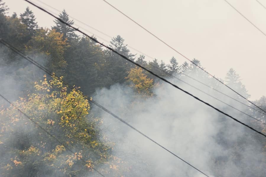 Photo Smoke damage