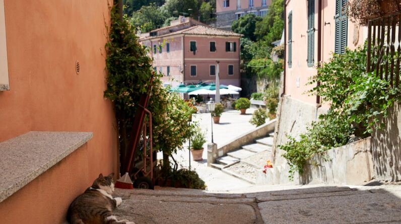 Photo Backyard patio