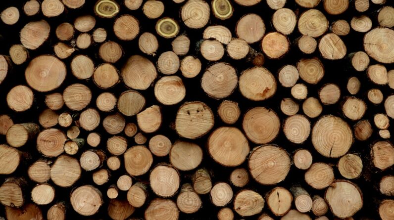Photo Wood cleaner