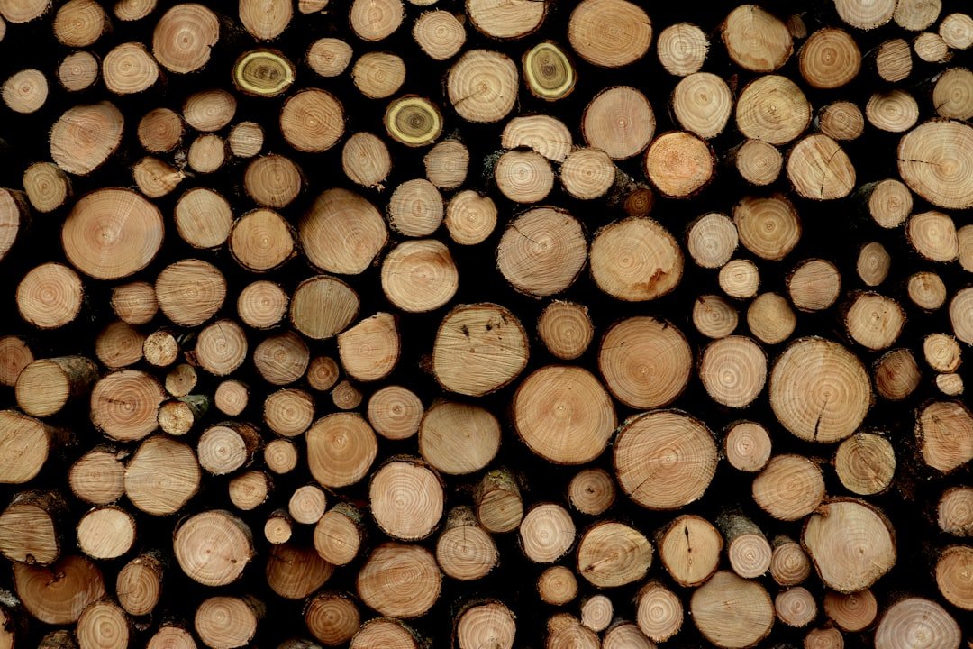 Photo Wood cleaner