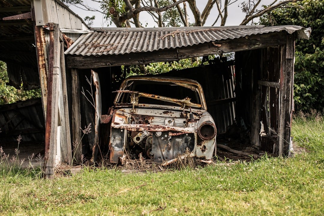 Photo Insurance and Liability
