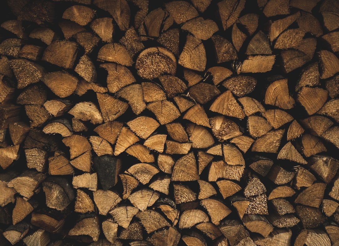 Photo Wood cleaner