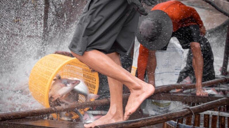 Photo Outdoor Kitchens