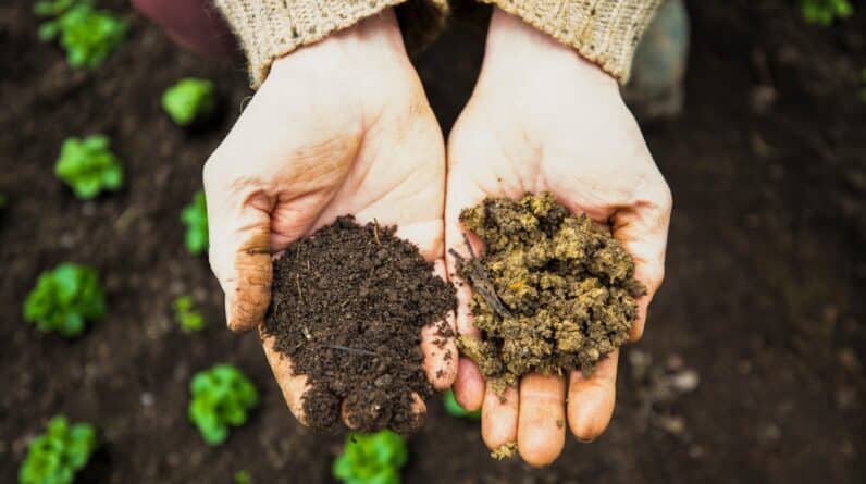 Photo Landscaping and Planting Options