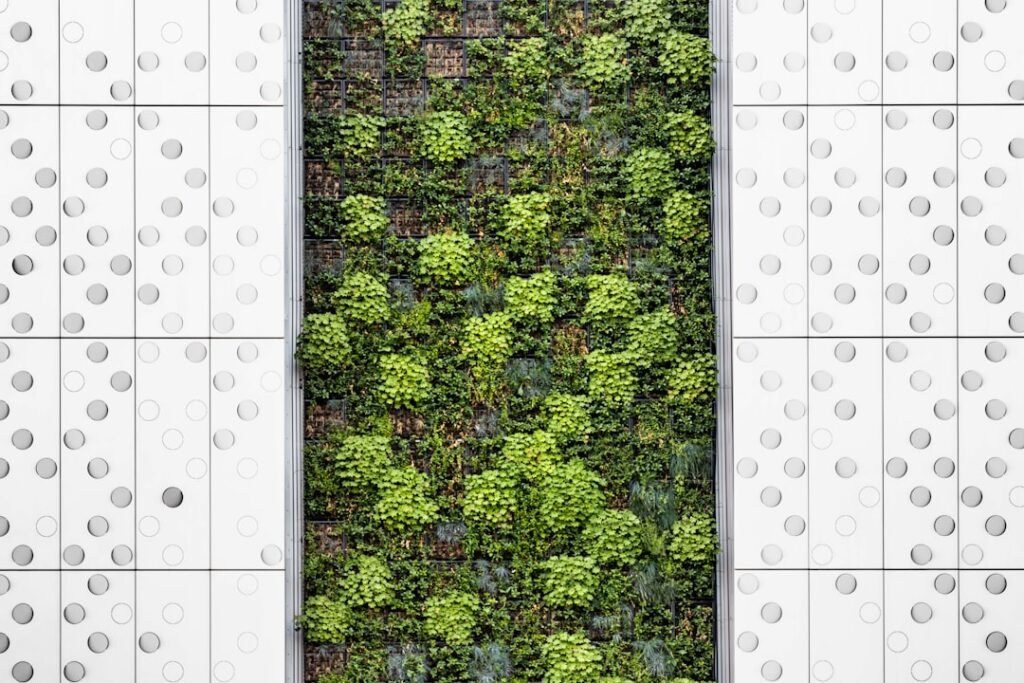 Photo Outdoor Kitchen Layout