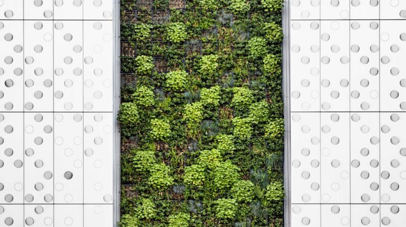 Photo Outdoor Kitchen Layout