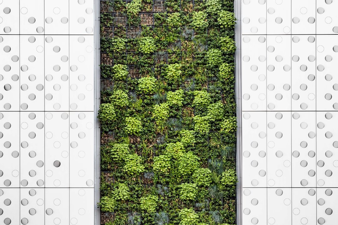 Photo Outdoor Kitchen Layout