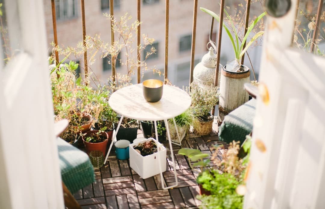 Photo outdoor kitchen design