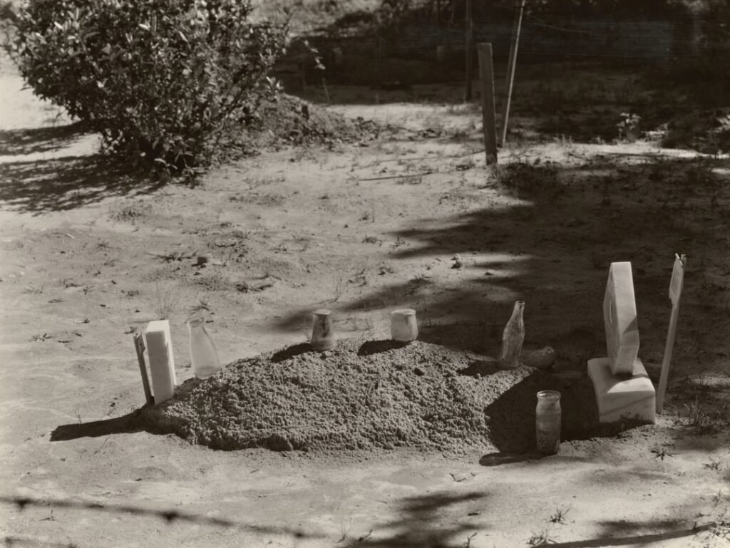 Photo site-preparation