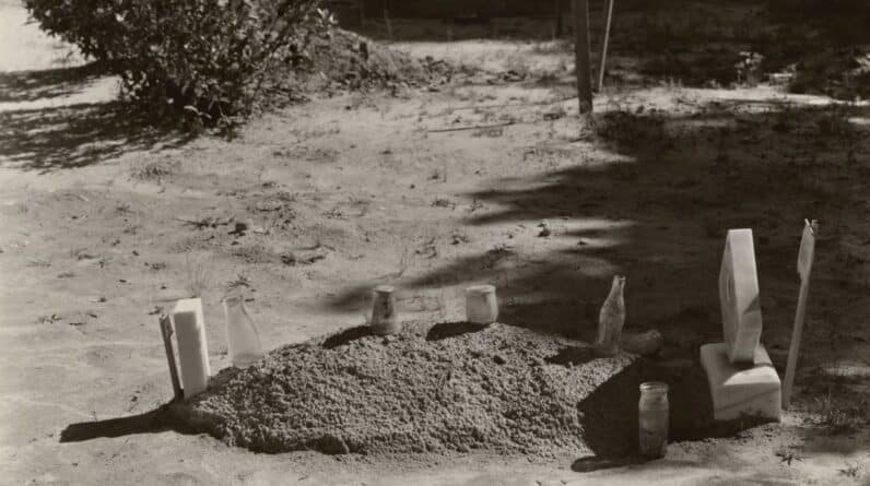 Photo site-preparation