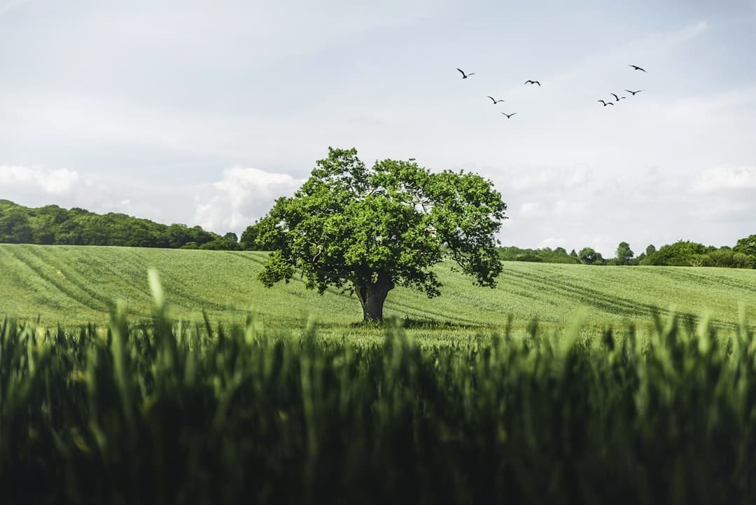 Photo Environmental Benefits
