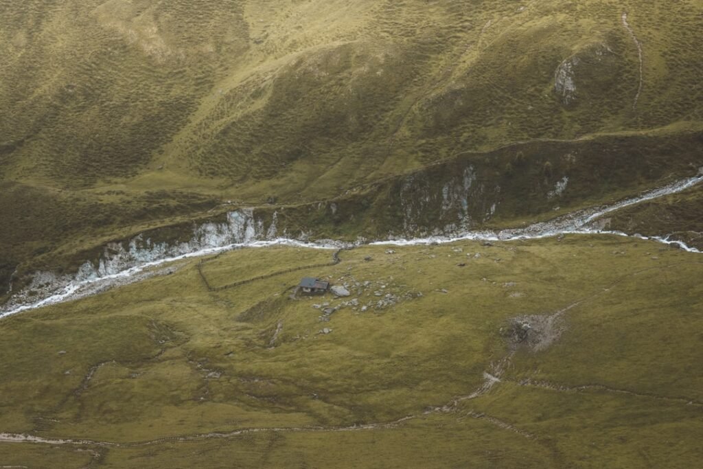 Photo Site-clearing