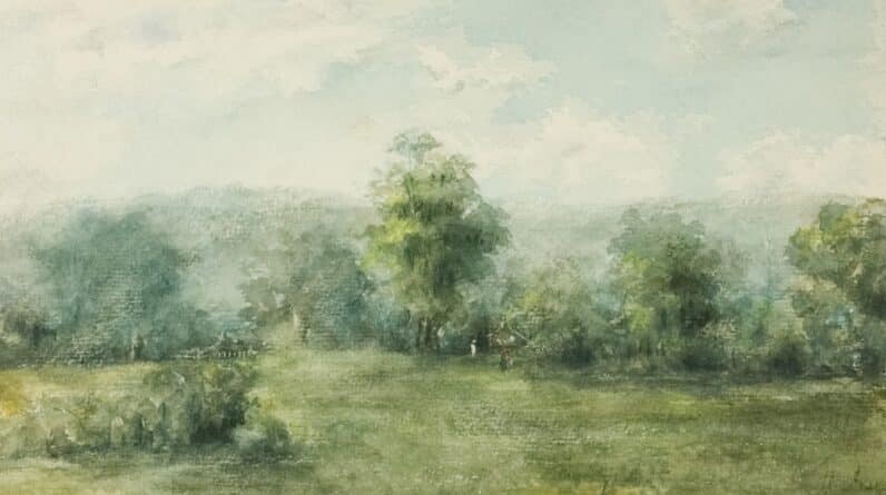 Photo site-clearing