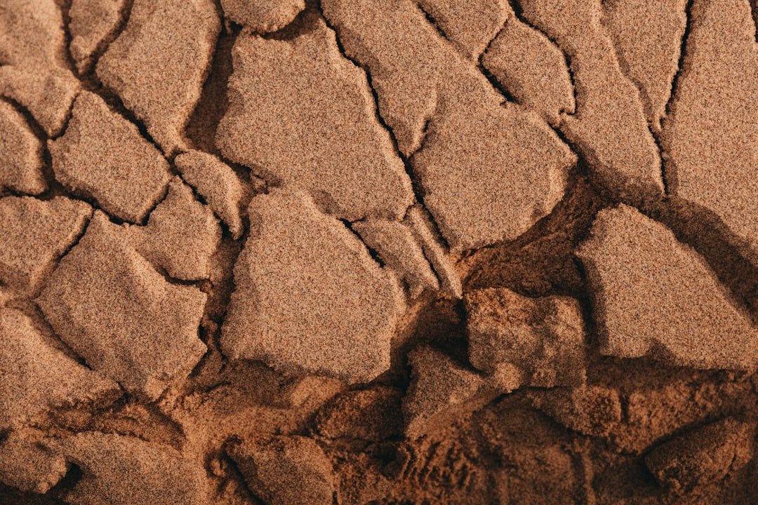 Photo Soil compaction