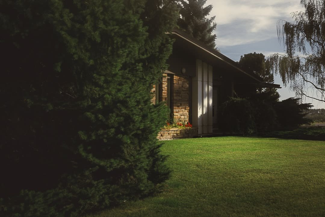 Photo landscaping