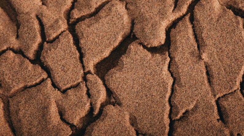 Photo soil contamination prevention