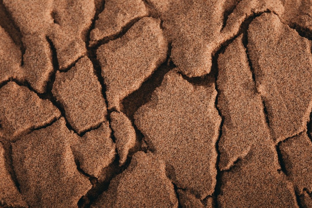 Photo soil contamination prevention