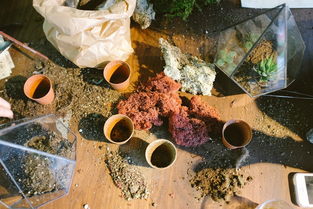 Photo Homebuilding Alchemy