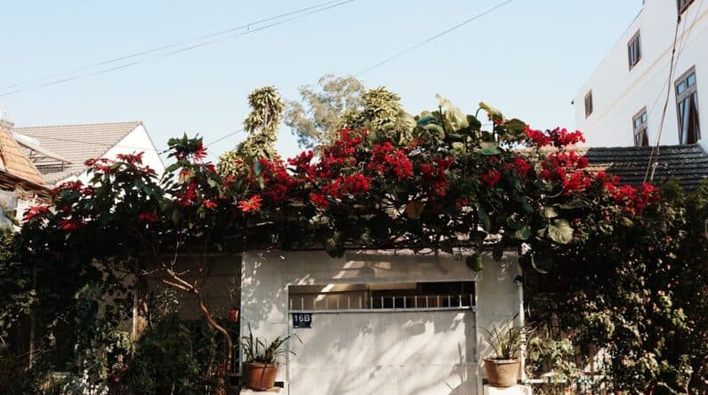 Photo Home Builder Napa California