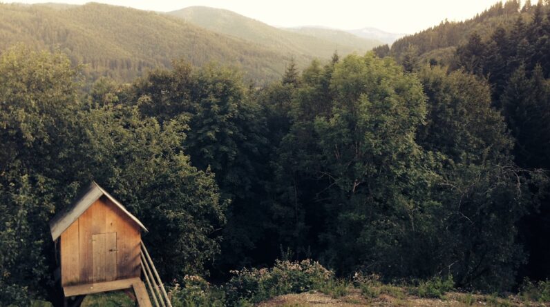 Photo Home Builder Upland California