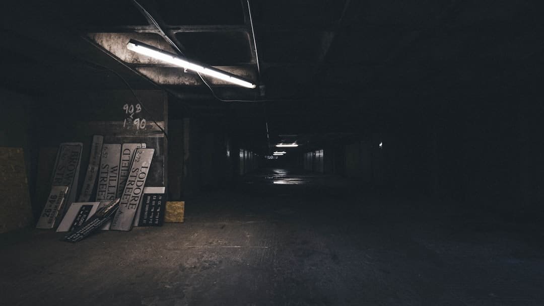Photo Specialty Contractor Basement