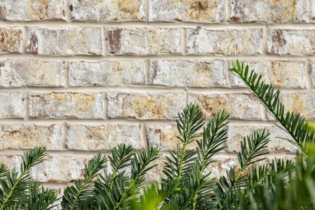 Photo Home Builder
