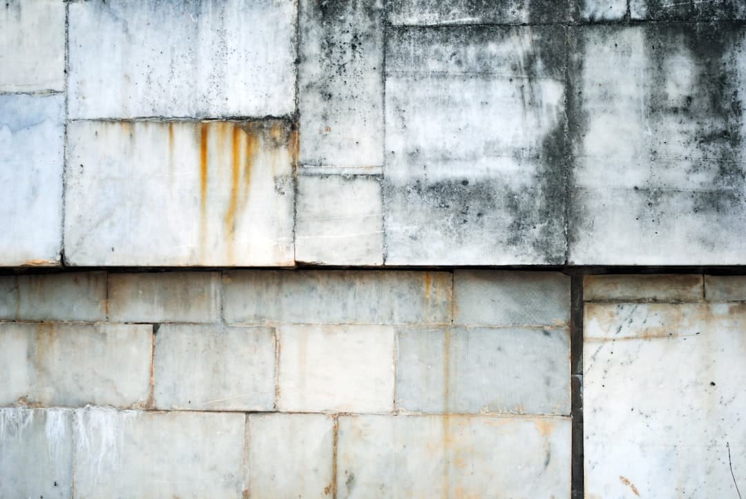 Photo Drywall and Insulation Waste