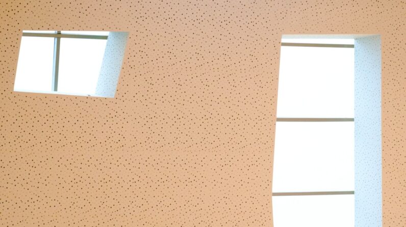 Photo Contractor Bags