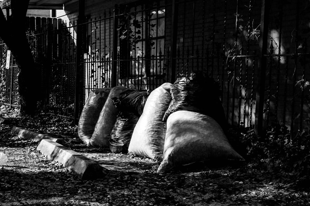 Photo Trash Bags