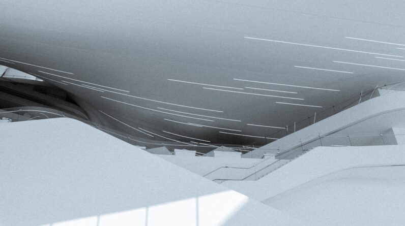 Photo Contractor Bags