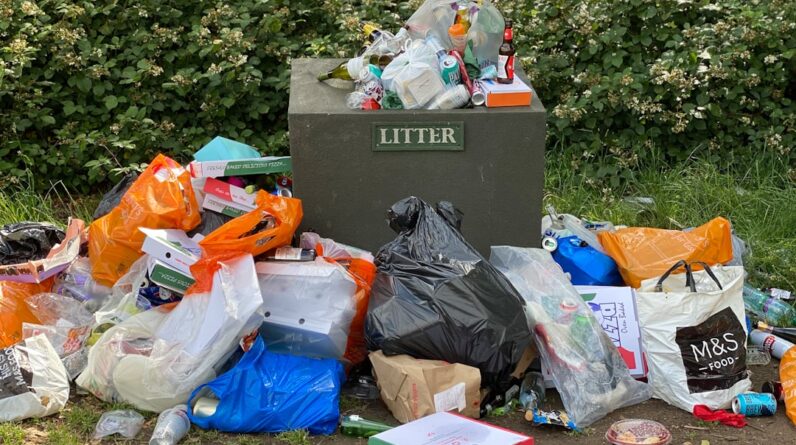 Photo Trash Bags
