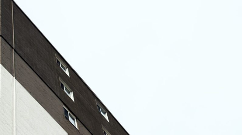 Photo Contractor Bags