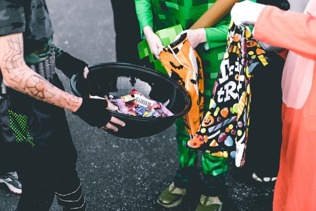 Photo Trash Bag Comparisons