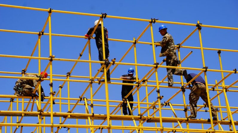 Photo Contractor License Application