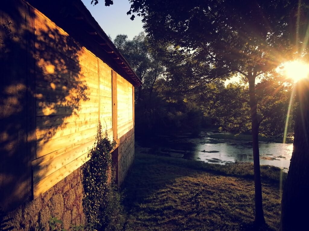 Photo Backyard ADUs