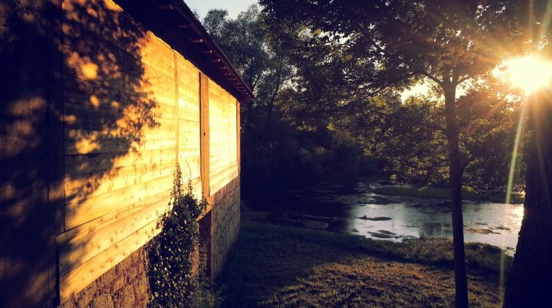 Photo Backyard ADUs